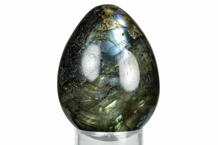 Flashy, Polished Labradorite Egg - Madagascar #344324